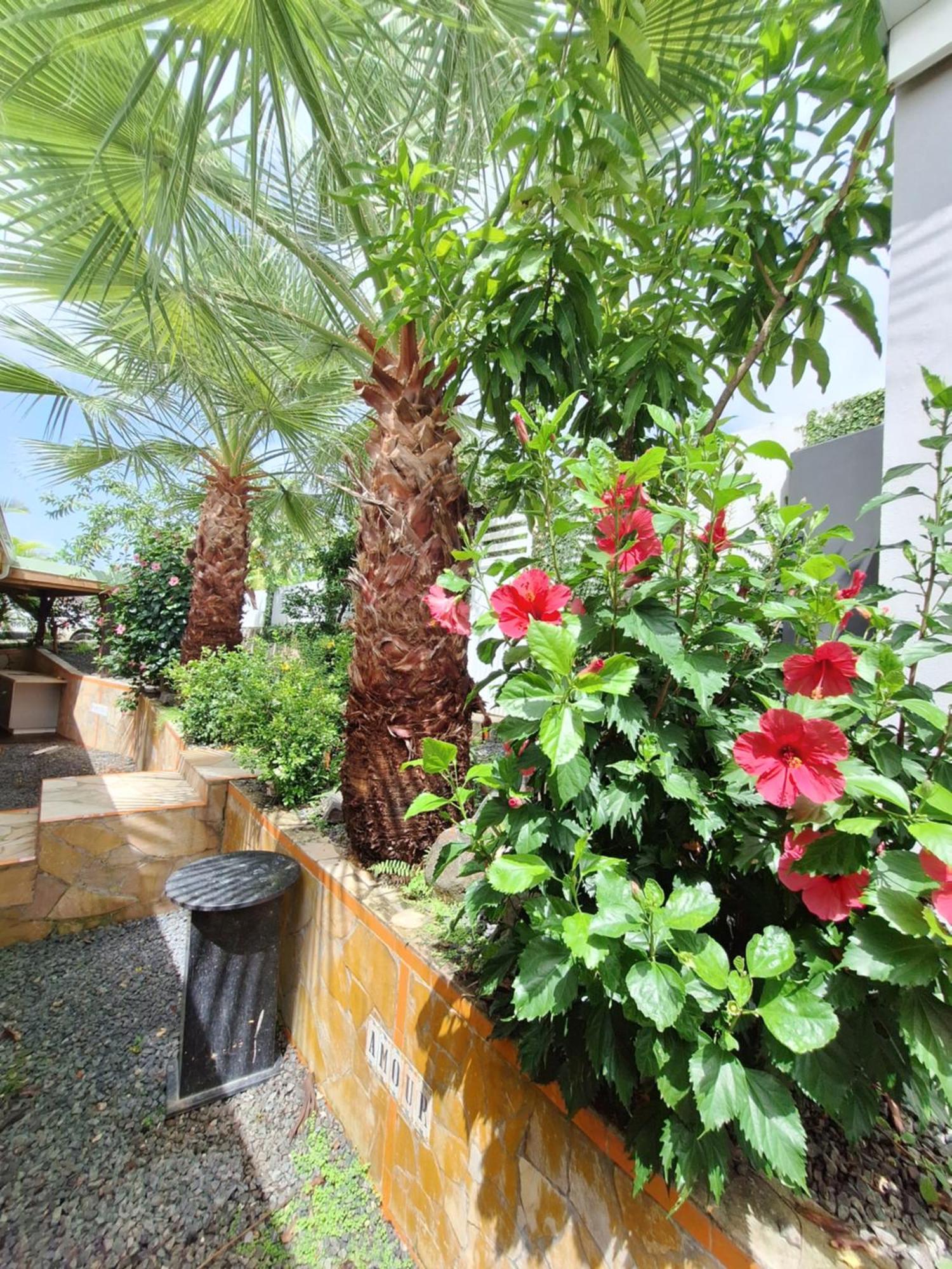 River Paradise Goyave 外观 照片